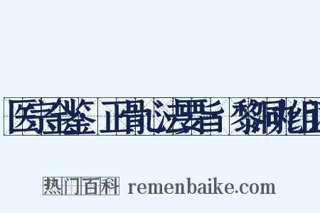 医宗金鉴·正骨心法要旨·黎洞丸组词是什么意思的图片